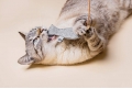 catnip wand cat toy SCANDI