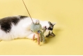 Organiczna zabawka wędka dla kota z kocimiętką JELLYFISH green