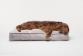 dog cushion COSY silver grey