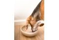 Ceramic dog or cat bowl SAND