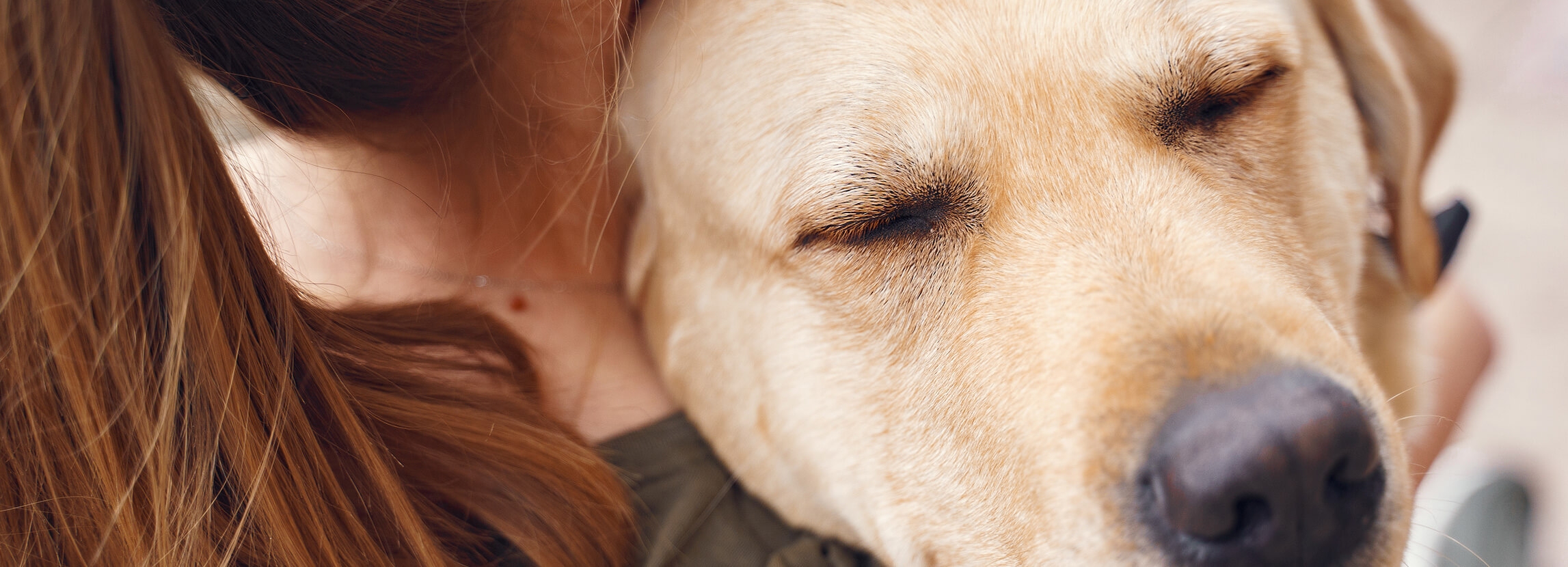 Dogoterapie - terapie z udziałem psa